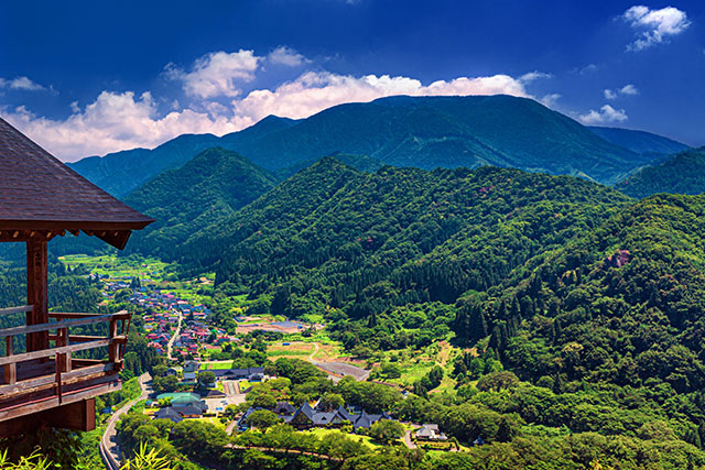 Enjoy the fresh greenery of Yamagata and fruit picking